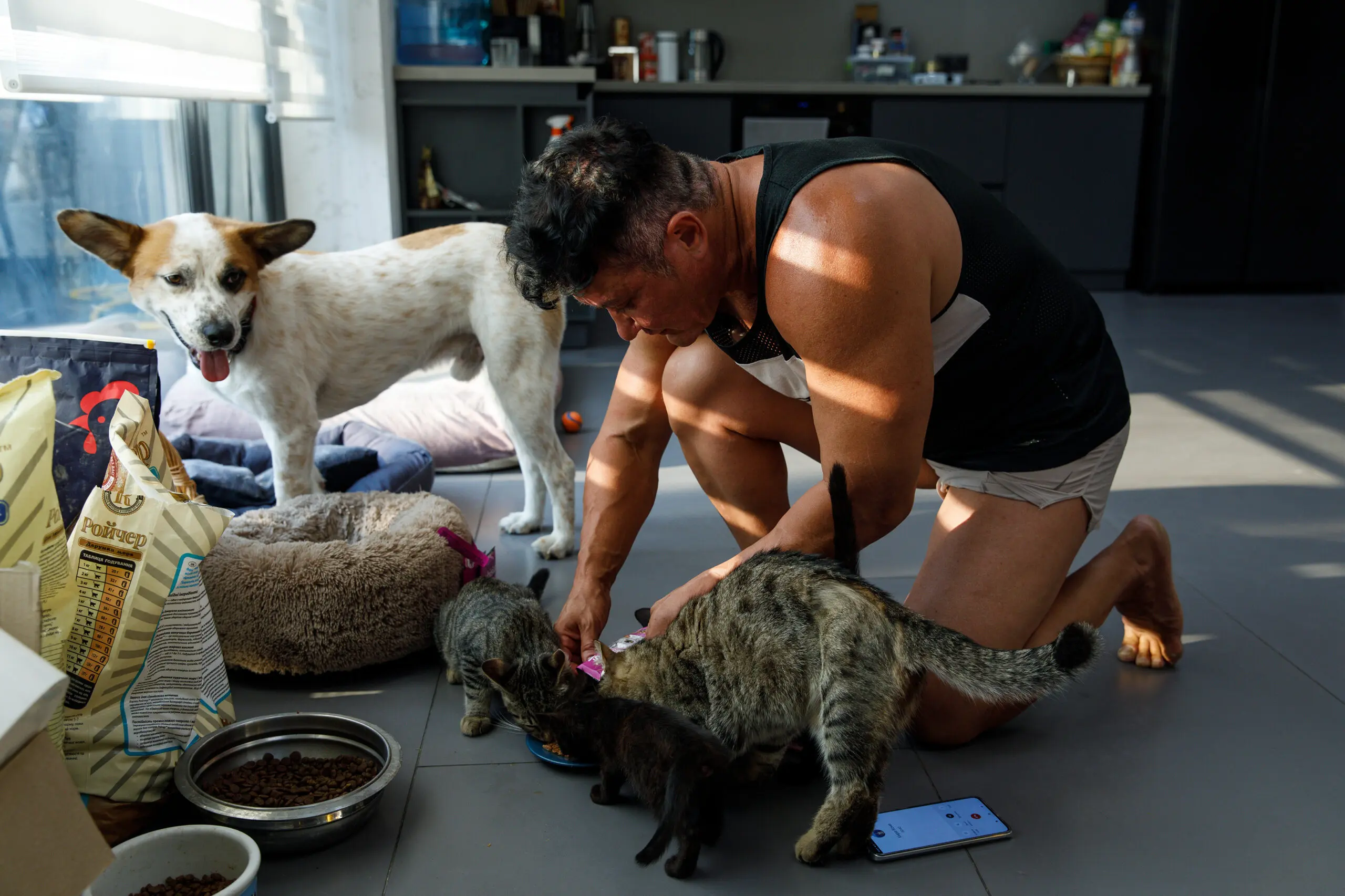 Anna kneels to feed several kittens and cats in the kitchen of her home.