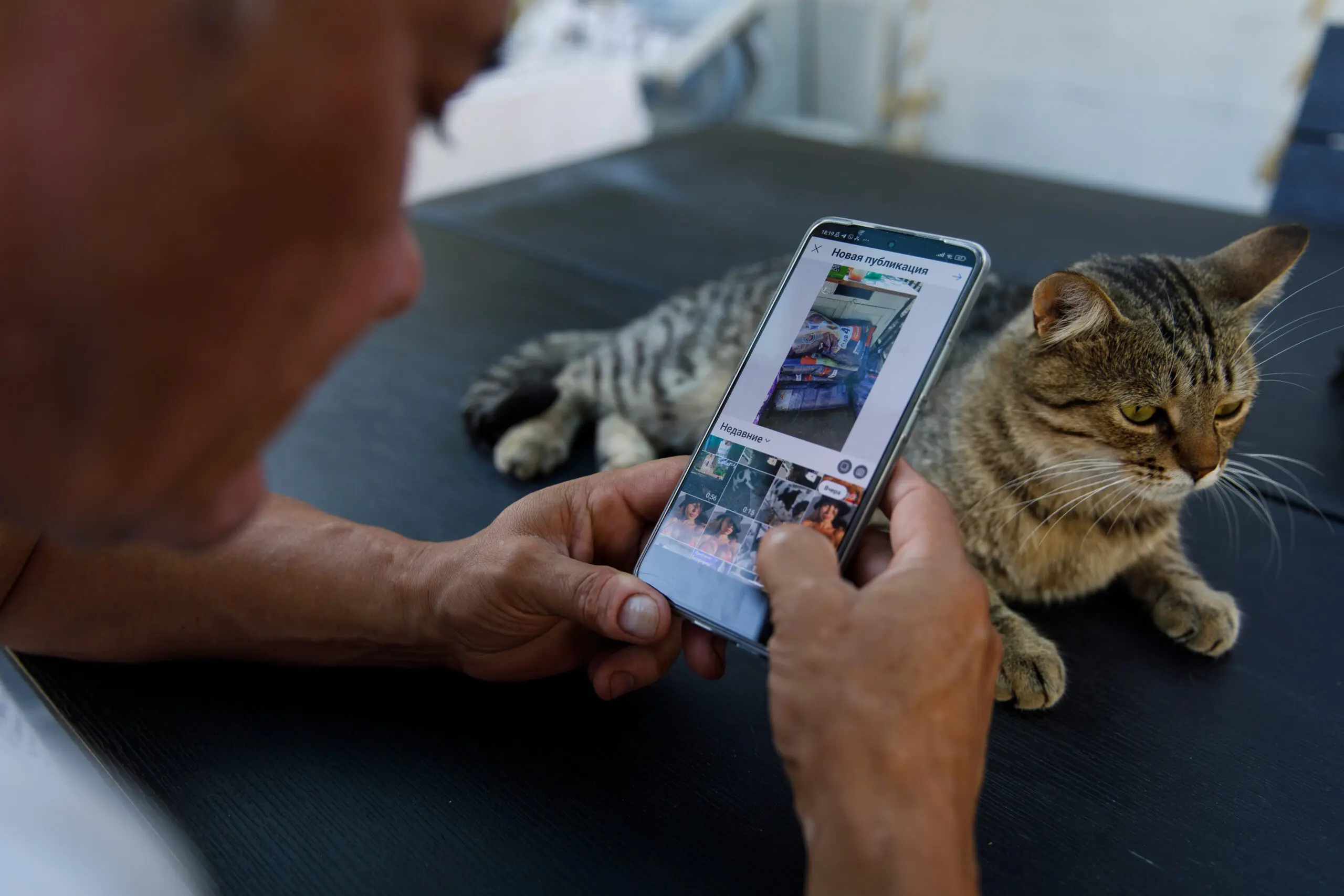 Anna Kurkurina creates an Instagram post while a cat lounges behind her phone.