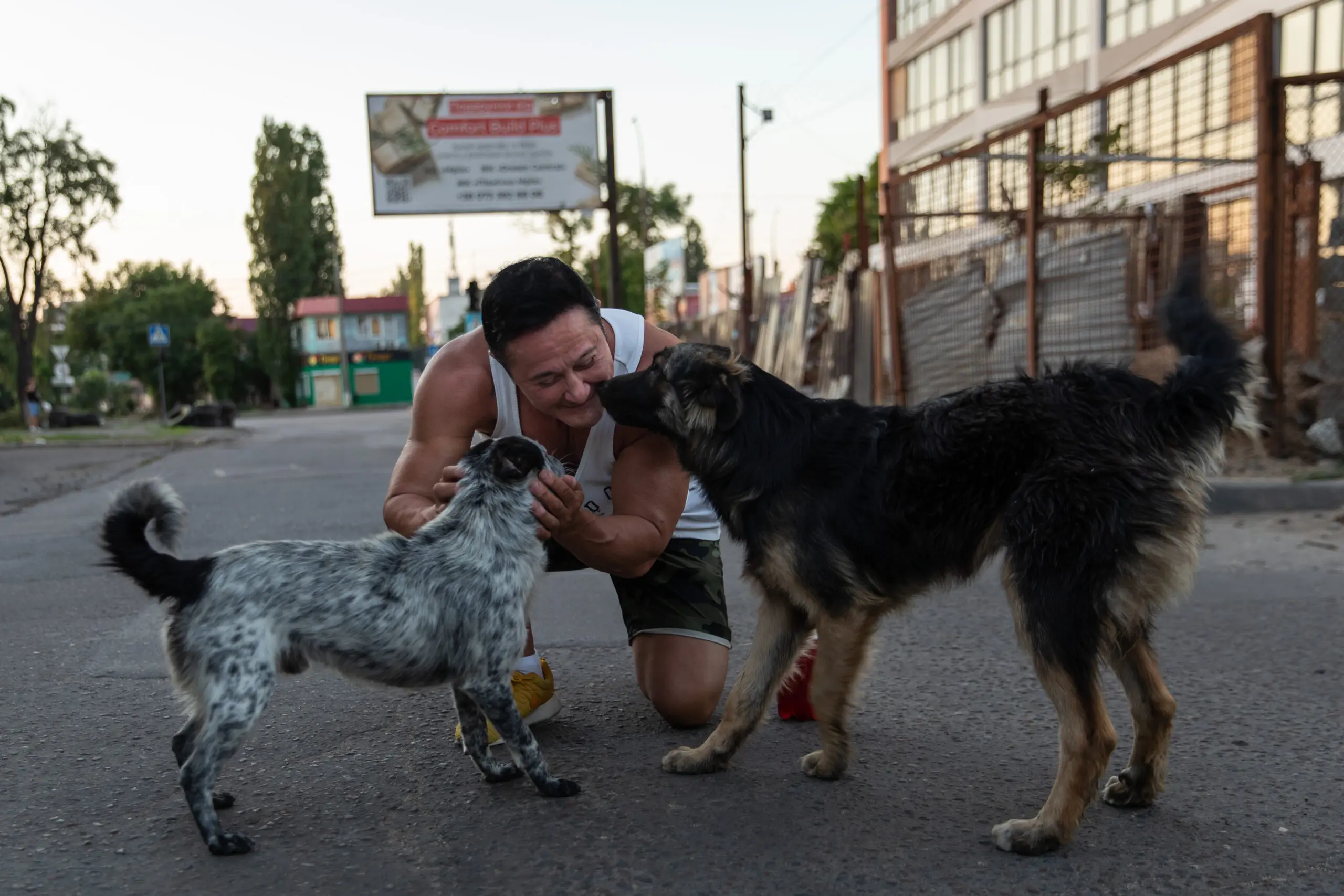 Anna Kurkurina kneels in the street to pet two street dogs.